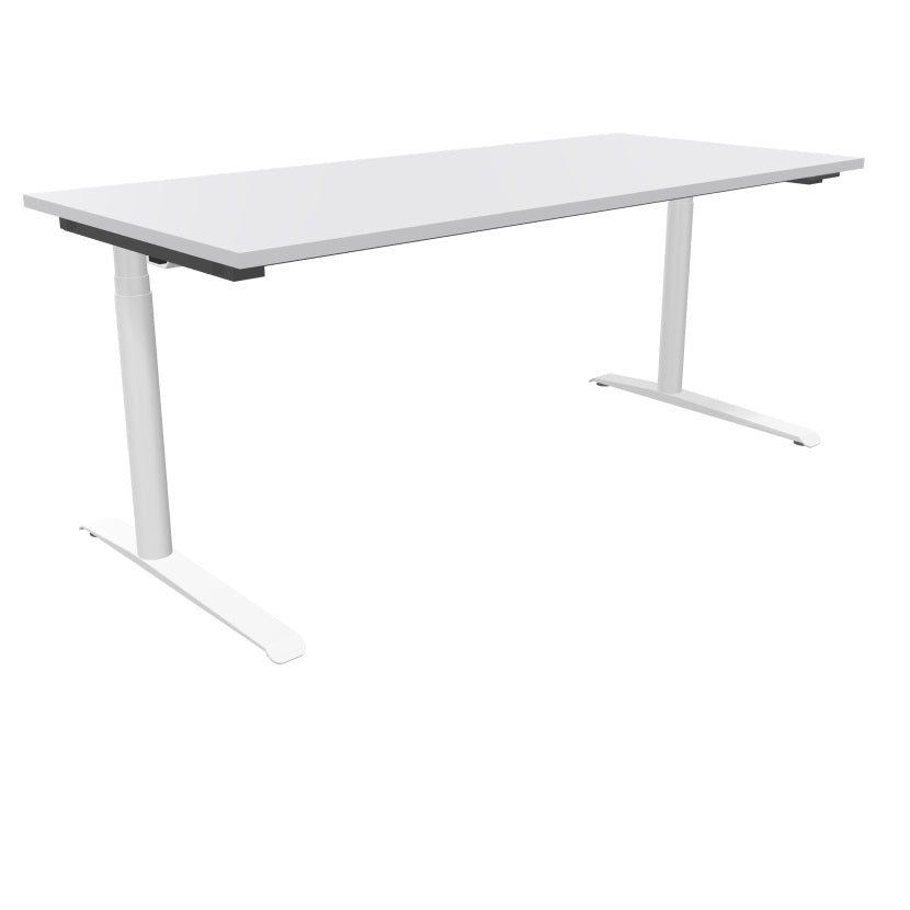 fm Schreibtisch / Sitz-Stehtisch