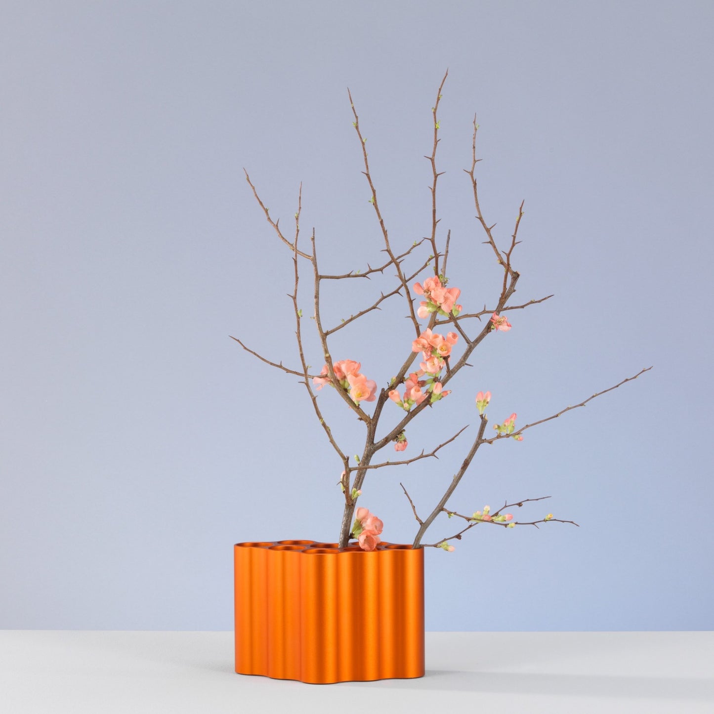 Vitra Nuage Vase métallique small – Designvase mit skulpturalem Charakter