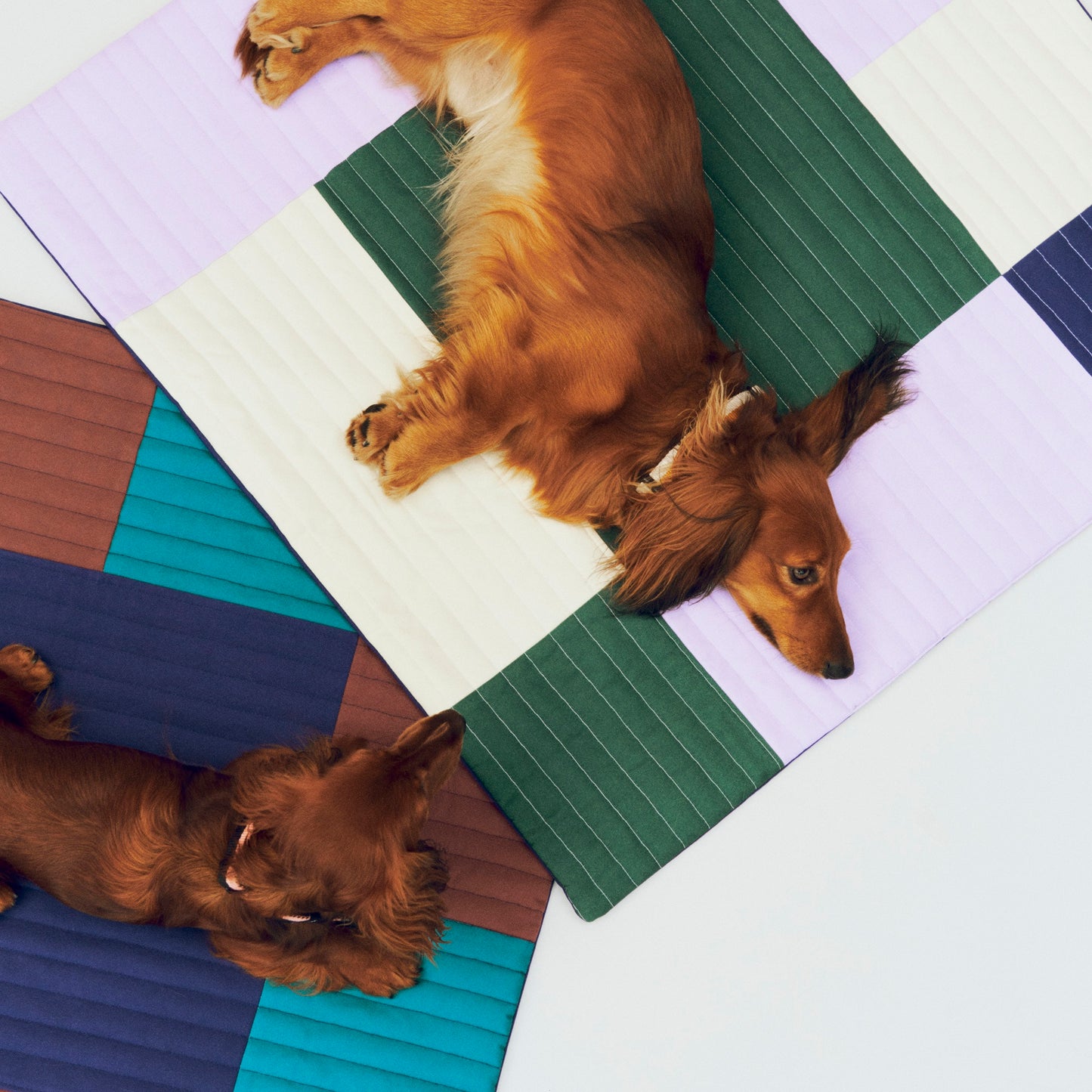 HAY Dogs Travel Blanket Reisedecke für Hunde 80 x 80 lila grün