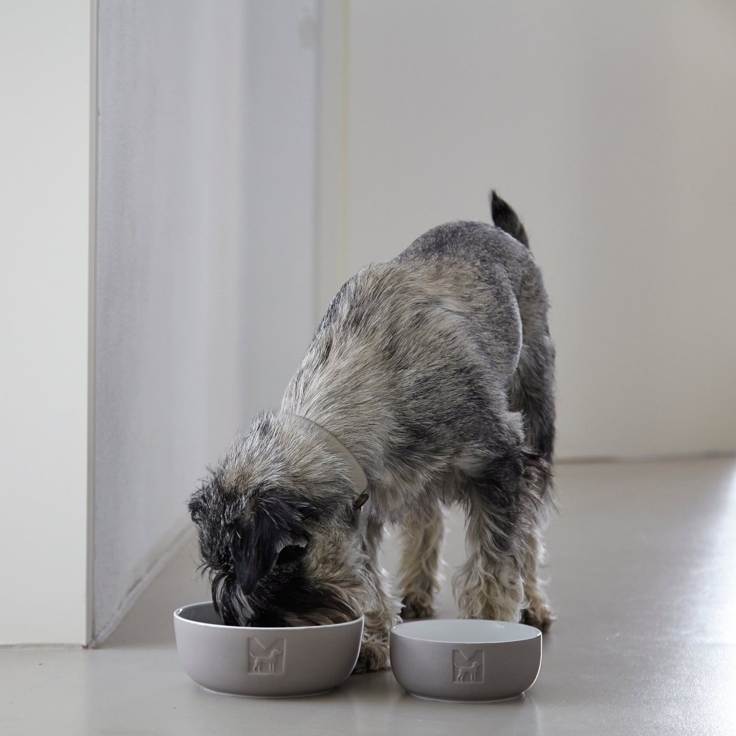 MiaCara Tondo Napf Puder ML