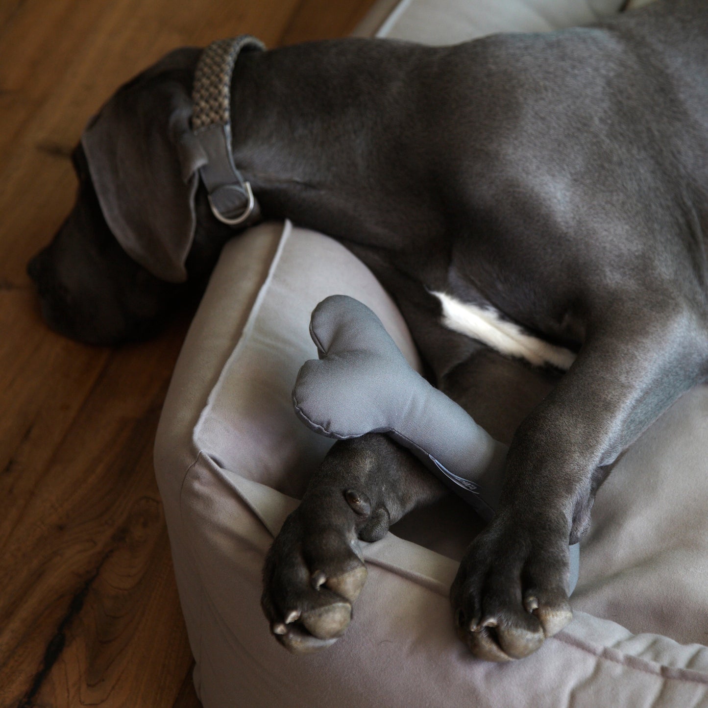 MiaCara Luvio Spielknochen