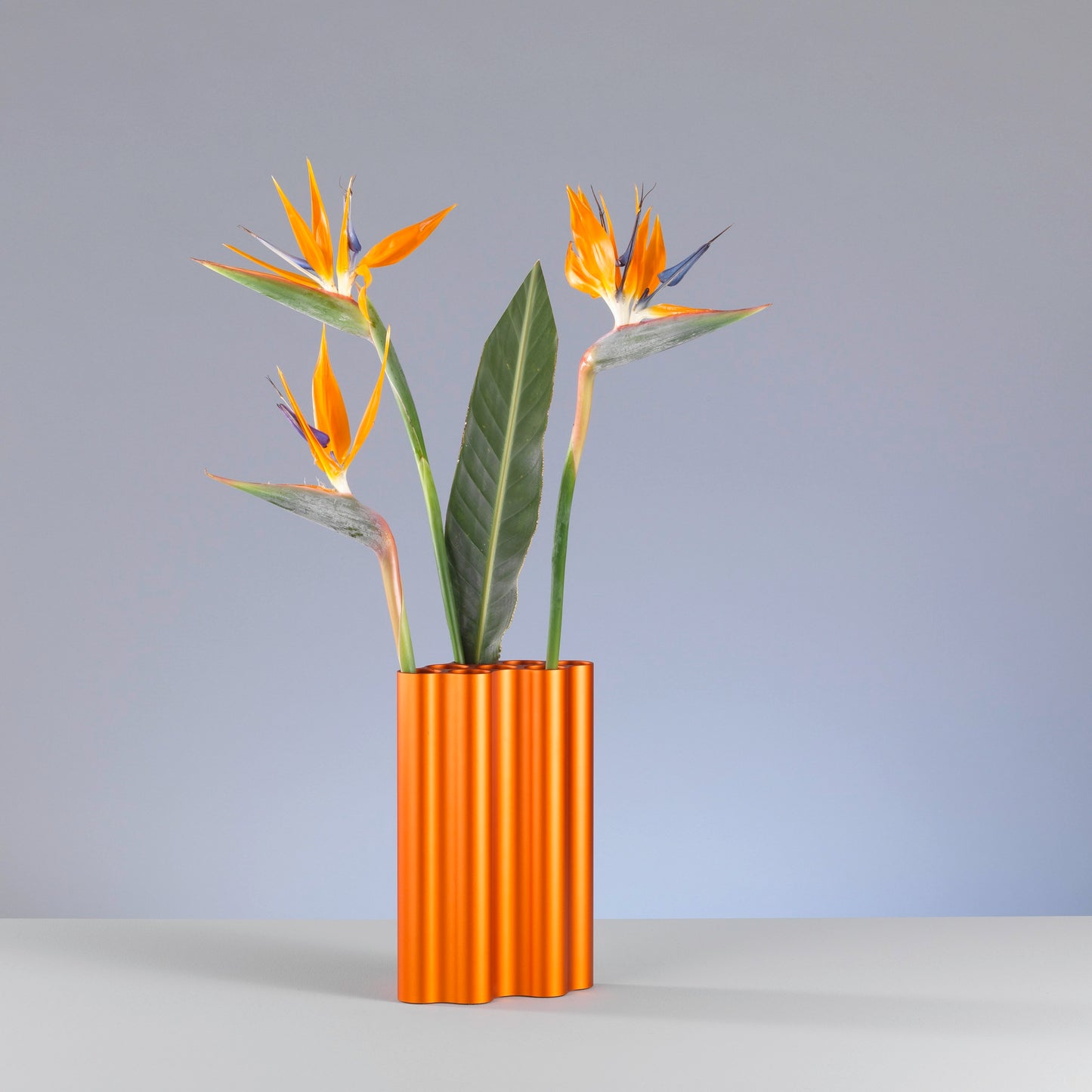 Vitra Nuage Vase métallique large – Designvase mit skulpturalem Charakter